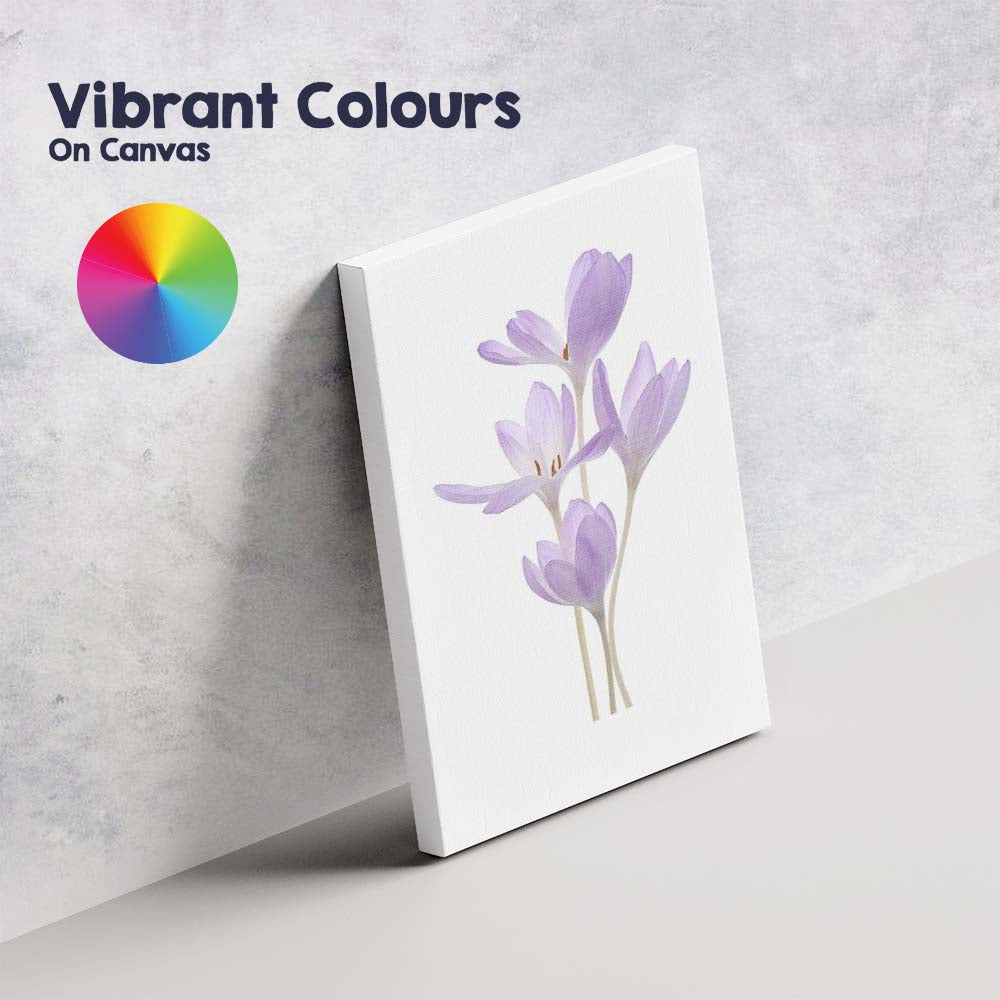 Minimal Lilac Crocus Botanical Watercolour Canvas Wall Art Print Decor Picture Ready to Hang