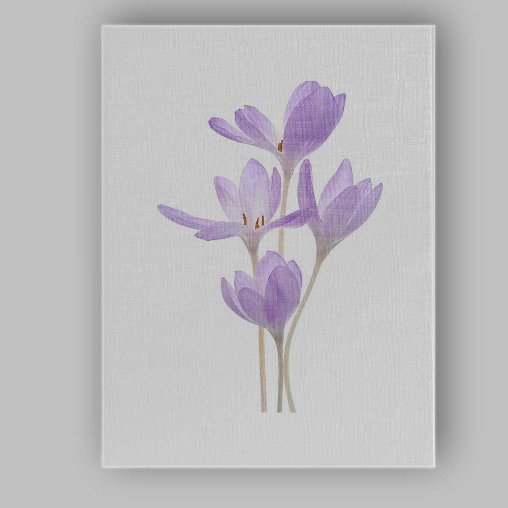 Minimal Lilac Crocus Botanical Watercolour Canvas Wall Art Print Decor Picture Ready to Hang