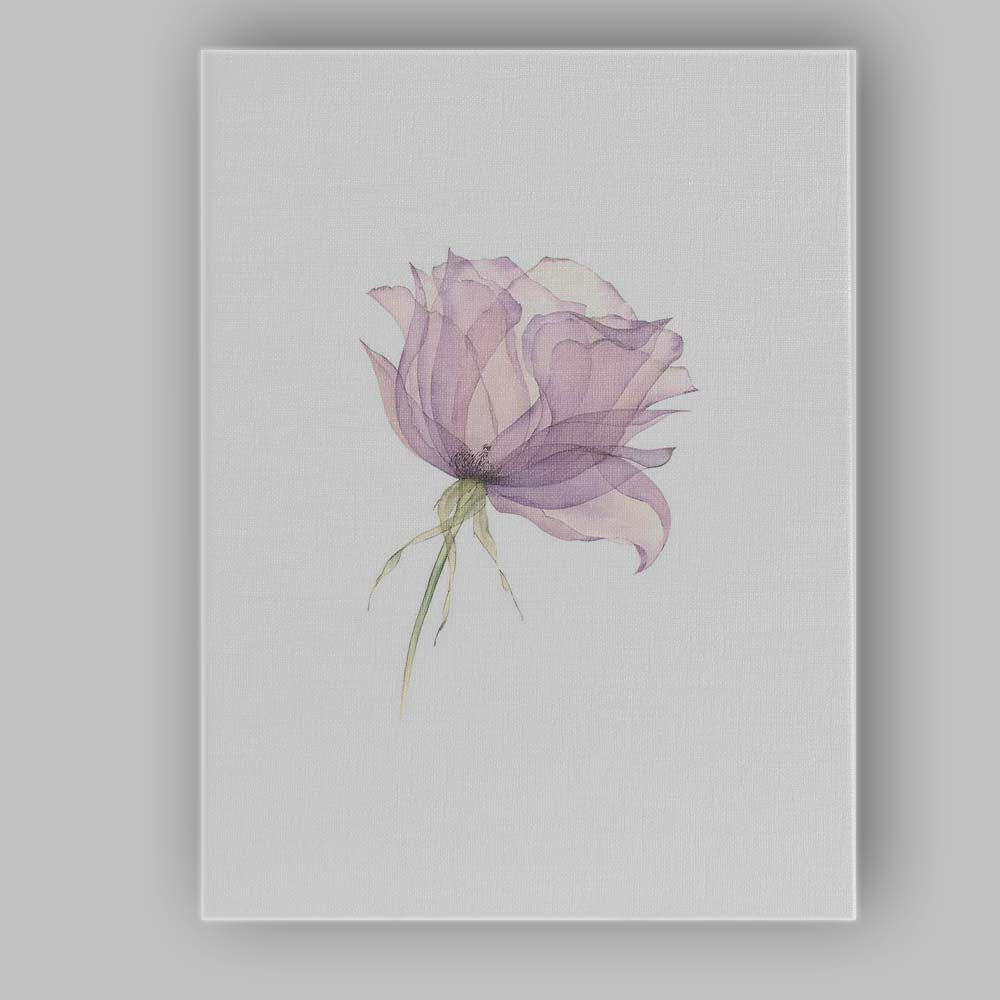 Elegant Blush Lavender Rose Watercolour Botanical Canvas Wall Art Print Decor Picture Ready to Hang