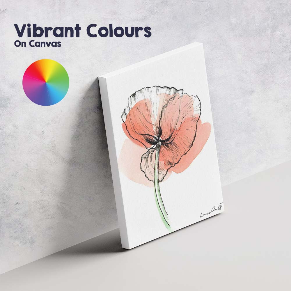 Contemporary Coral Poppy Line Art Watercolour Canvas Wall Art Print Decor Picture Ready to Hang