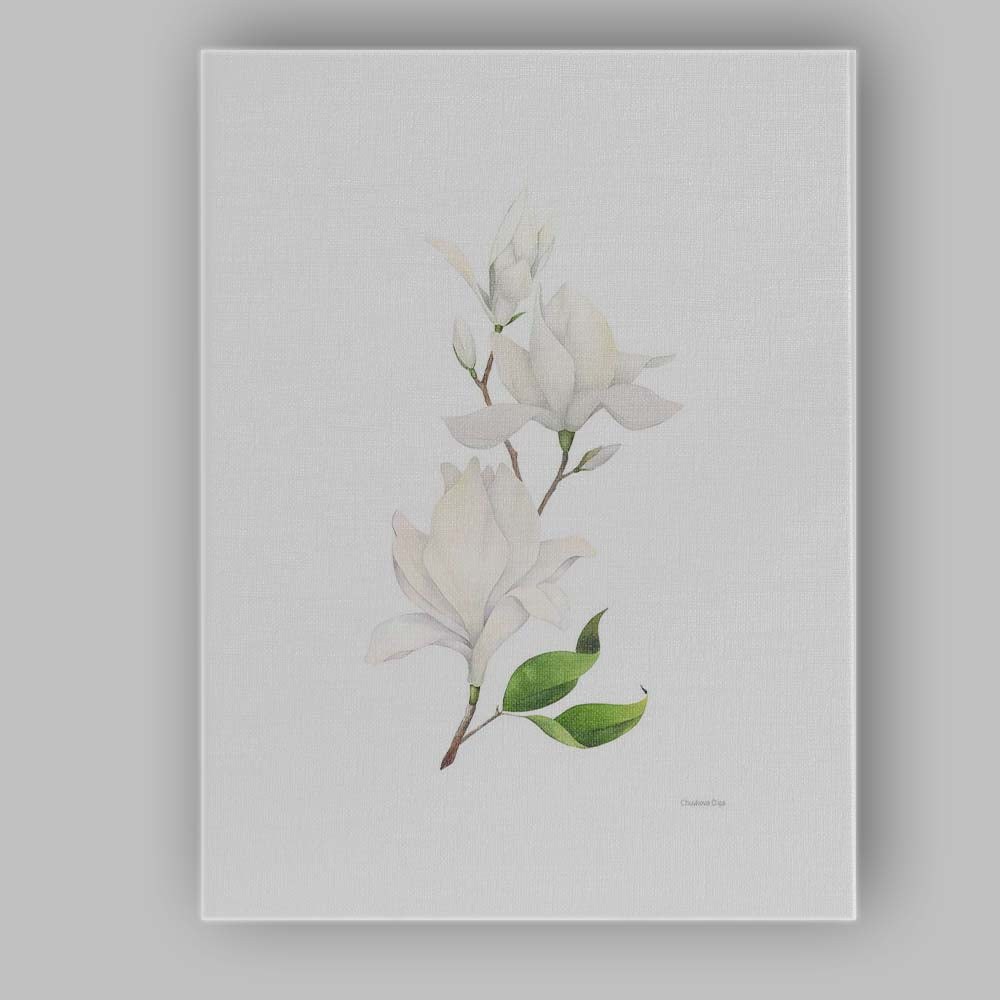 Minimal White Magnolia Branch Watercolour Botanical Canvas Wall Art Print Decor Picture Ready to Hang