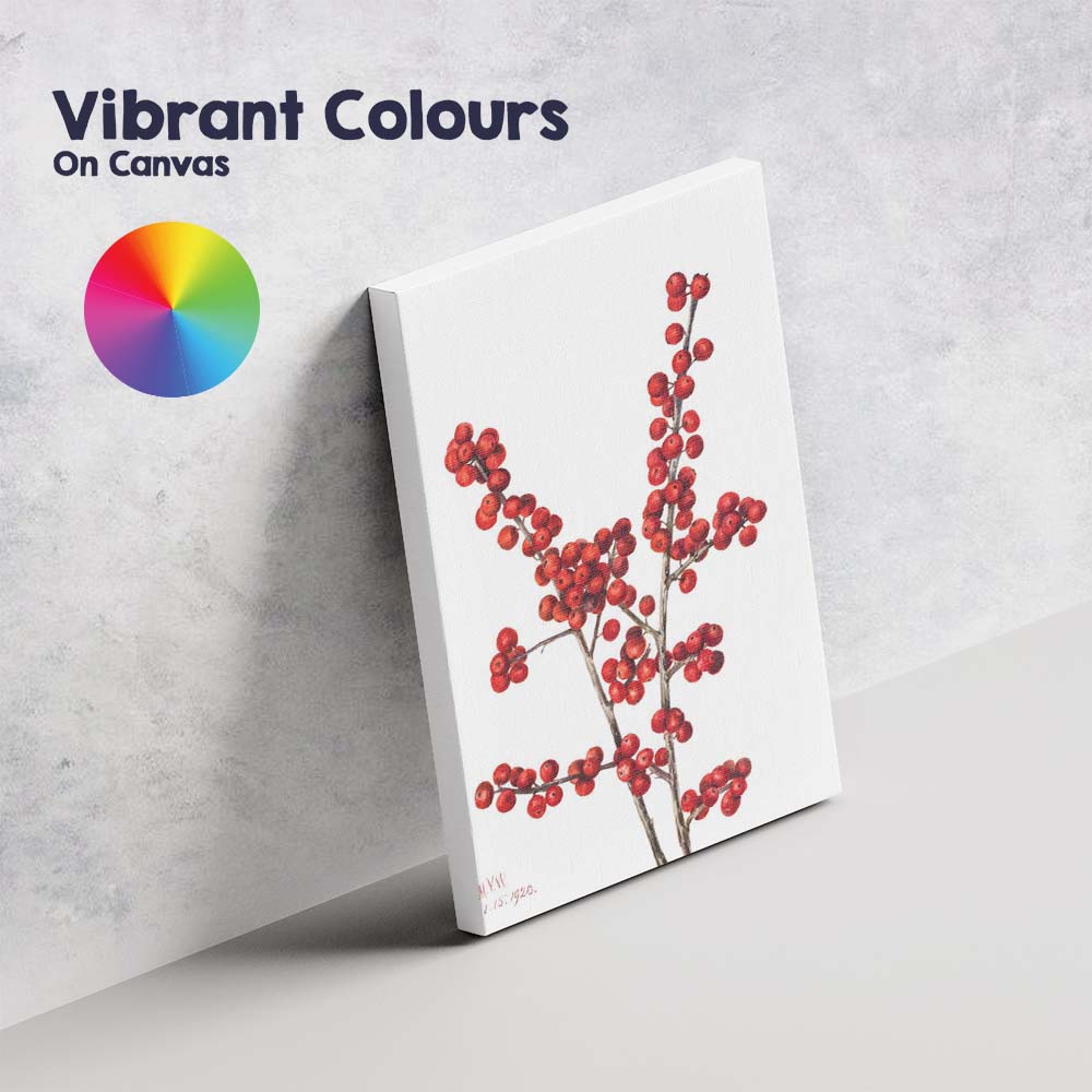 Red Winter Berry Botanical Watercolour Minimalist Canvas Wall Art Print Decor Picture Ready to Hang