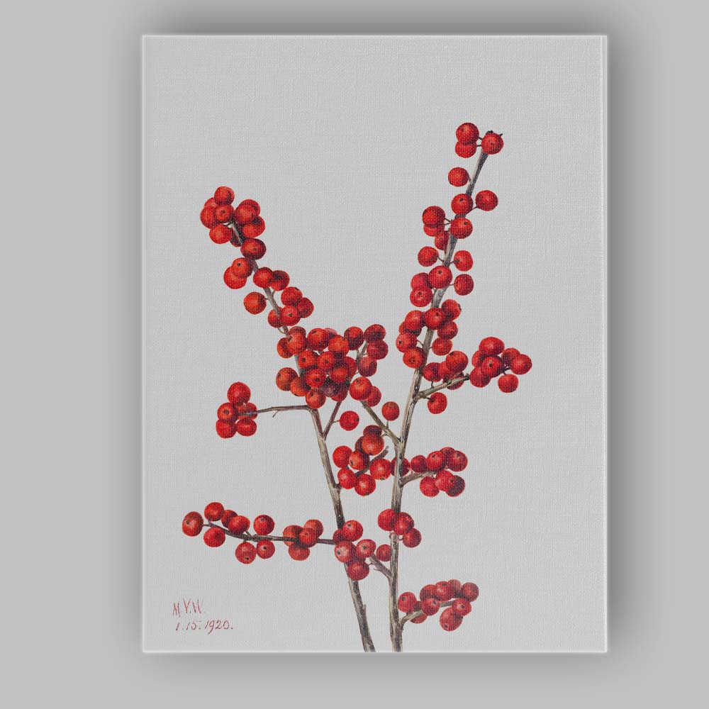 Red Winter Berry Botanical Watercolour Minimalist Canvas Wall Art Print Decor Picture Ready to Hang