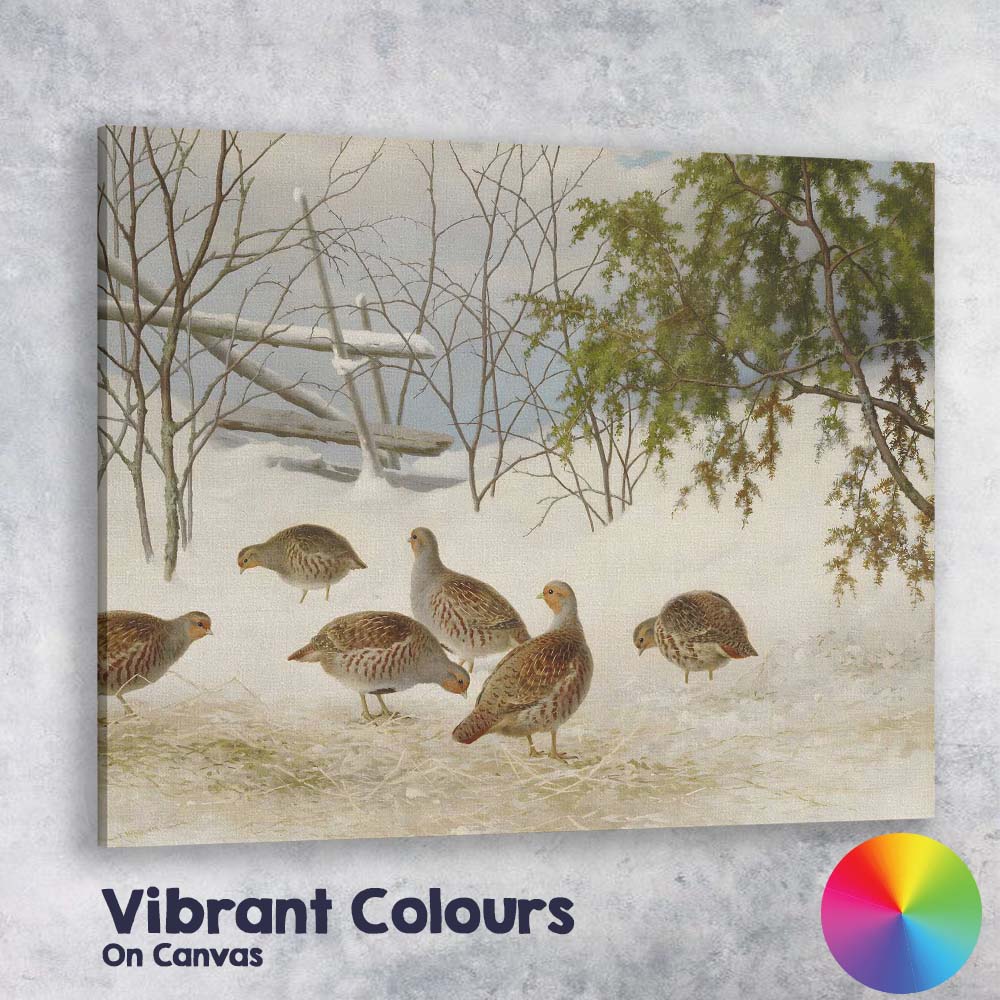 Realistic Winter Partridge Birds Snowy Woodland Wildlife Canvas Wall Art Print Decor Picture Ready to Hang