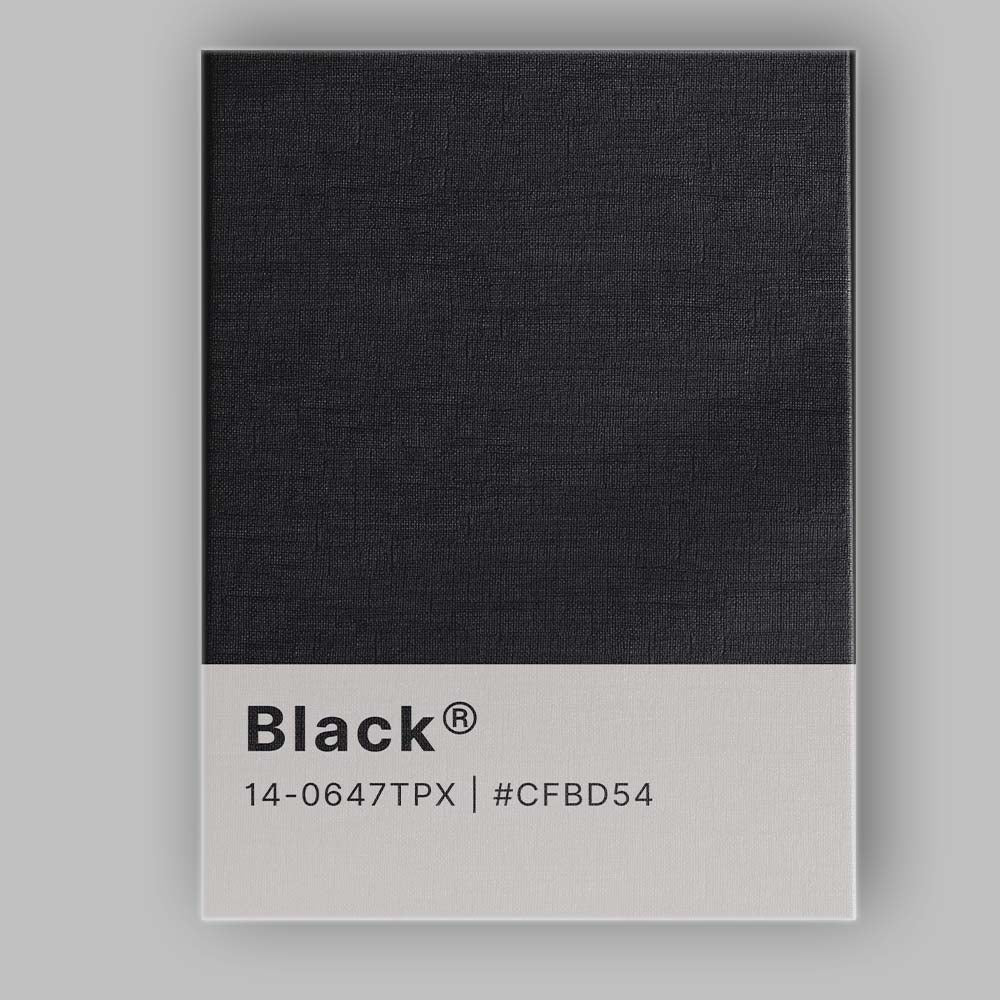 Pantone Black Colour Swatch Minimalist Graphic Design Canvas Wall Art Print Decor Picture Ready to Hang