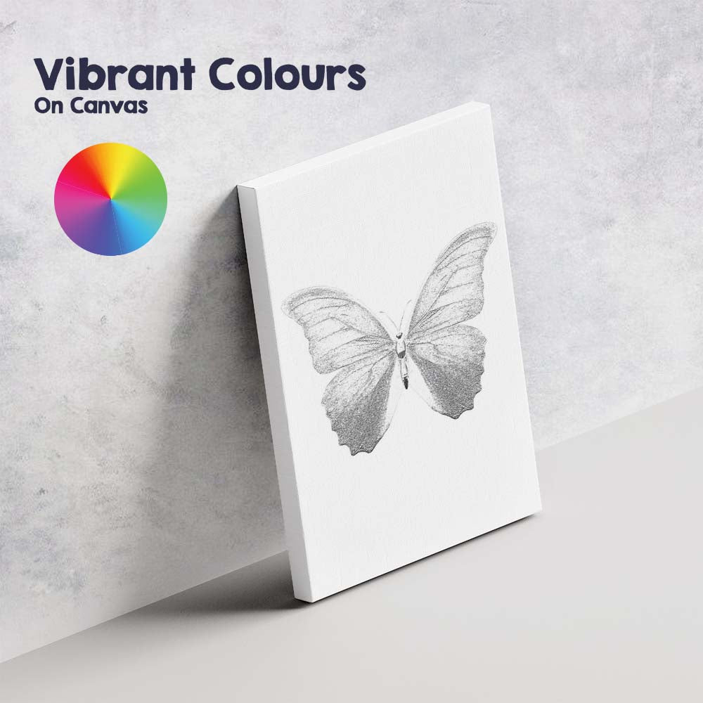 Elegant Monochrome Butterfly Detailed Nature Illustration Minimalist Canvas Wall Art Print Decor Picture Ready to Hang
