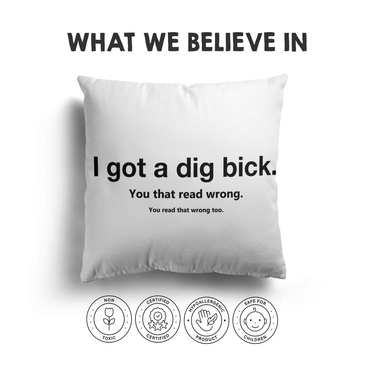 I Got Dig Bick Cushion