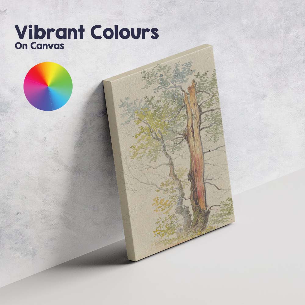 Detailed Woodland Tree Trunk Nature Study Watercolour Canvas Wall Art Print Decor Picture Ready to Hang