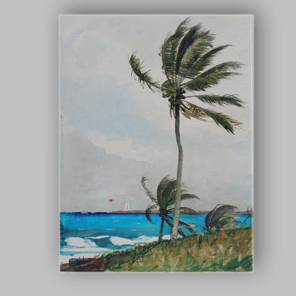 Wind Swept Palm Tree Tropical Coast Watercolour Canvas Wall Art Print Decor Picture Ready to Hang