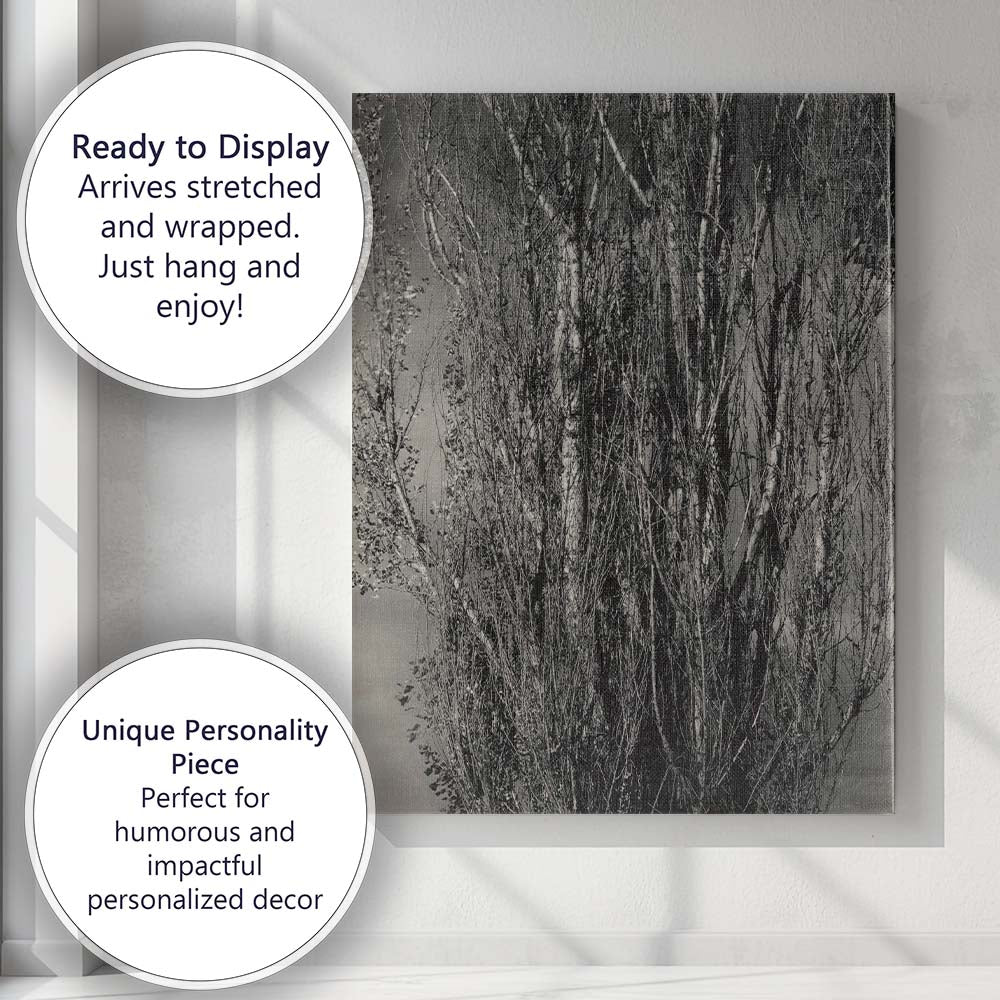 Black and White Bare Poplar Trees Woodland Nature Photography Canvas Wall Art Print Decor Picture Ready to Hang