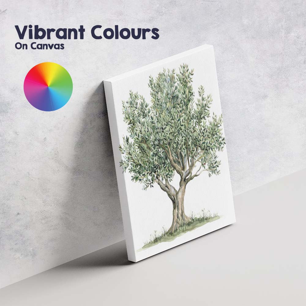 Watercolour Olive Tree Botanical Nature Illustration Rustic Mediterranean Canvas Wall Art Print Decor Picture Ready to Hang