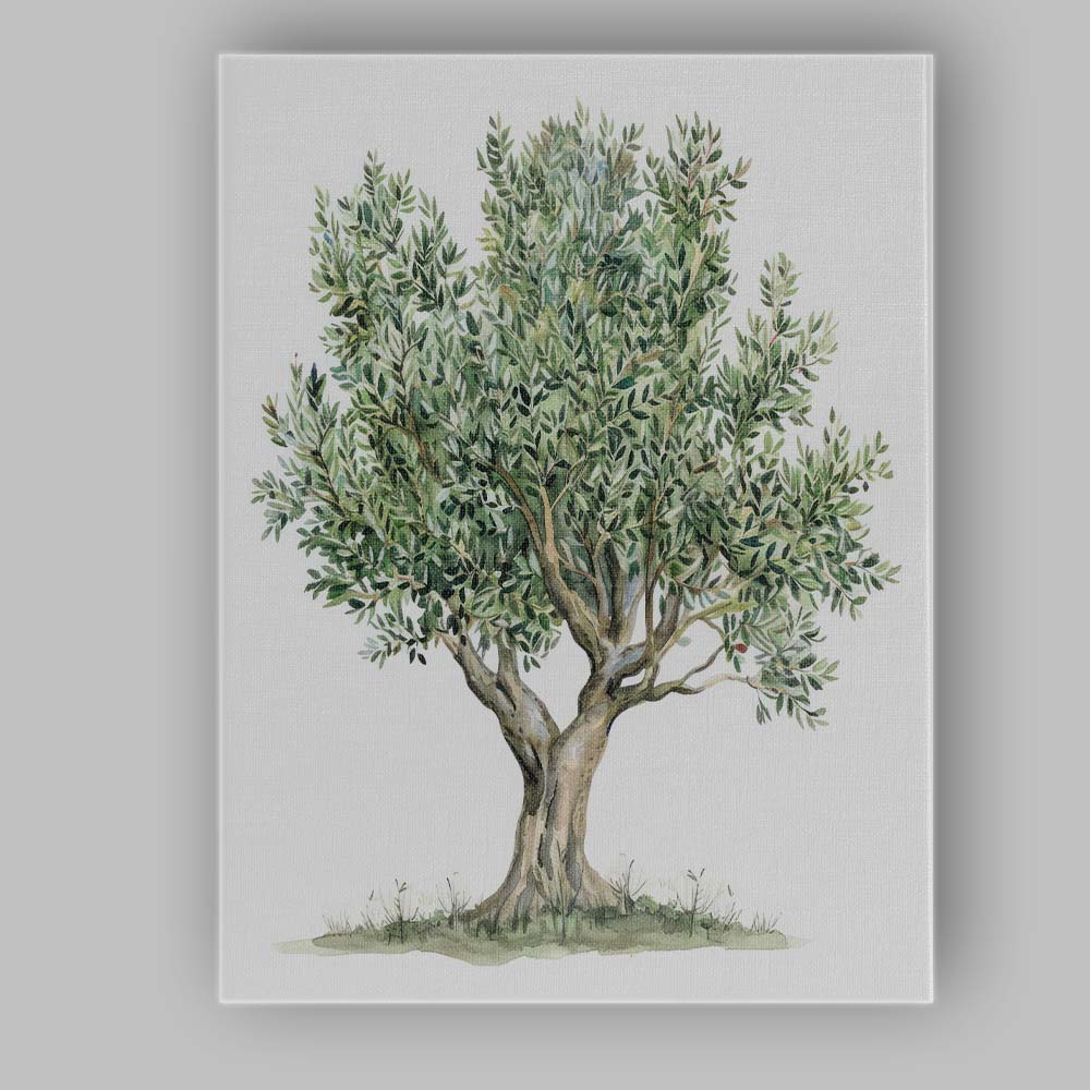 Watercolour Olive Tree Botanical Nature Illustration Rustic Mediterranean Canvas Wall Art Print Decor Picture Ready to Hang