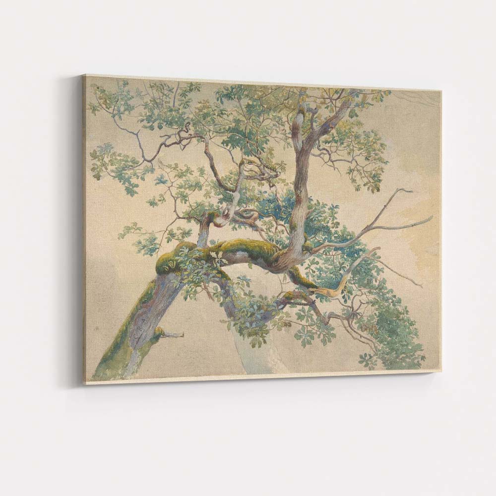 Moss Covered Twisting Oak Tree Branch Botanical Watercolour Canvas Wall Art Print Decor Picture Ready to Hang