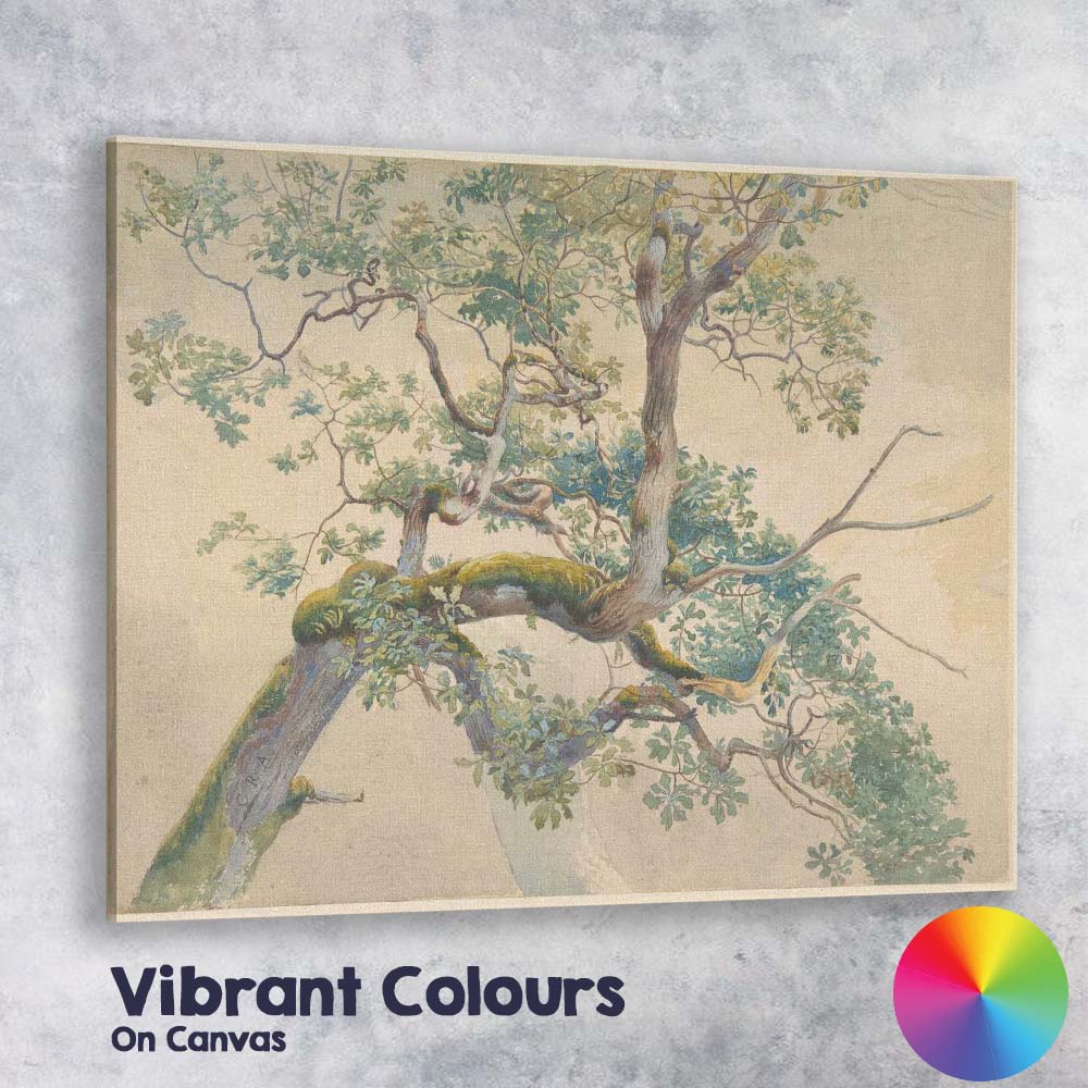 Moss Covered Twisting Oak Tree Branch Botanical Watercolour Canvas Wall Art Print Decor Picture Ready to Hang