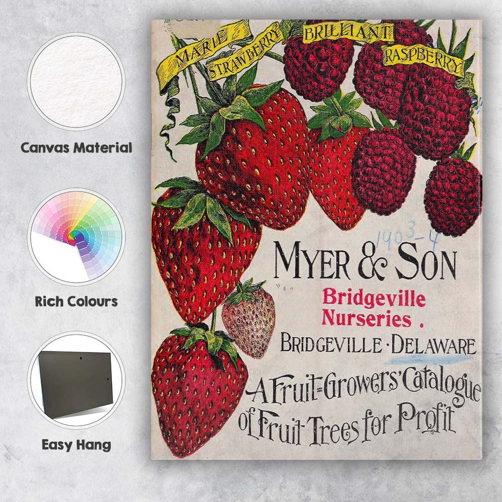 Antique Strawberry Raspberry Fruit Growers Botanical Catalogue Illustration Canvas Wall Art Print Decor Picture Ready to Hang