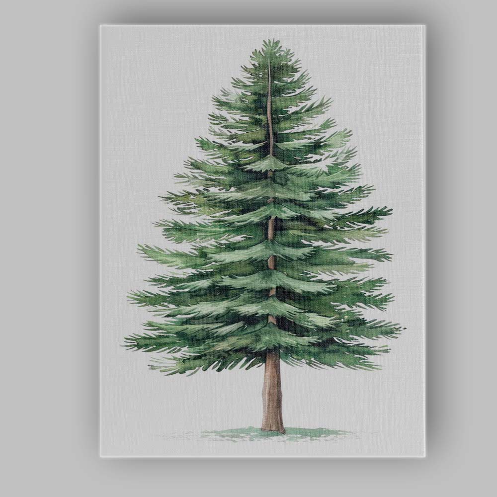 Watercolour Evergreen Fir Tree Botanical Woodland Nature Illustration Canvas Wall Art Print Decor Picture Ready to Hang