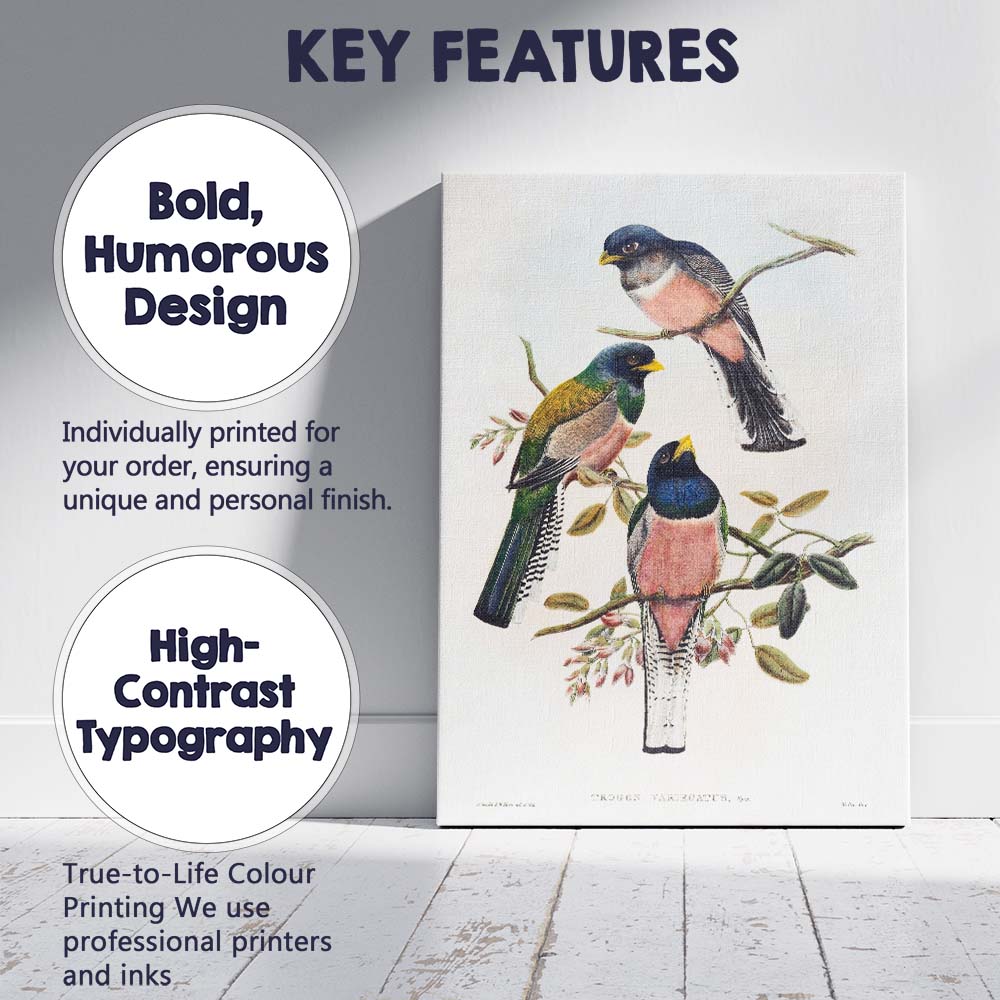 Colourful Tropical Trogon Birds Botanical Branch Illustration Canvas Wall Art Print Decor Picture Ready to Hang