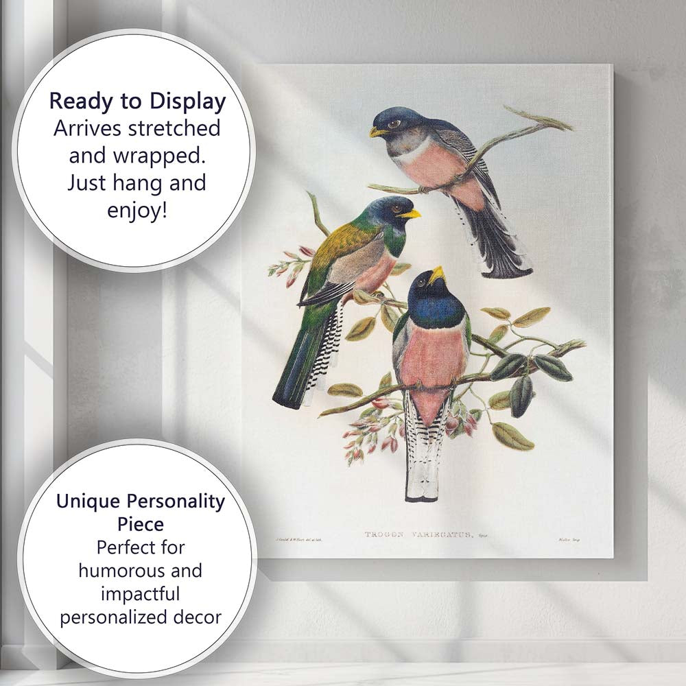 Colourful Tropical Trogon Birds Botanical Branch Illustration Canvas Wall Art Print Decor Picture Ready to Hang