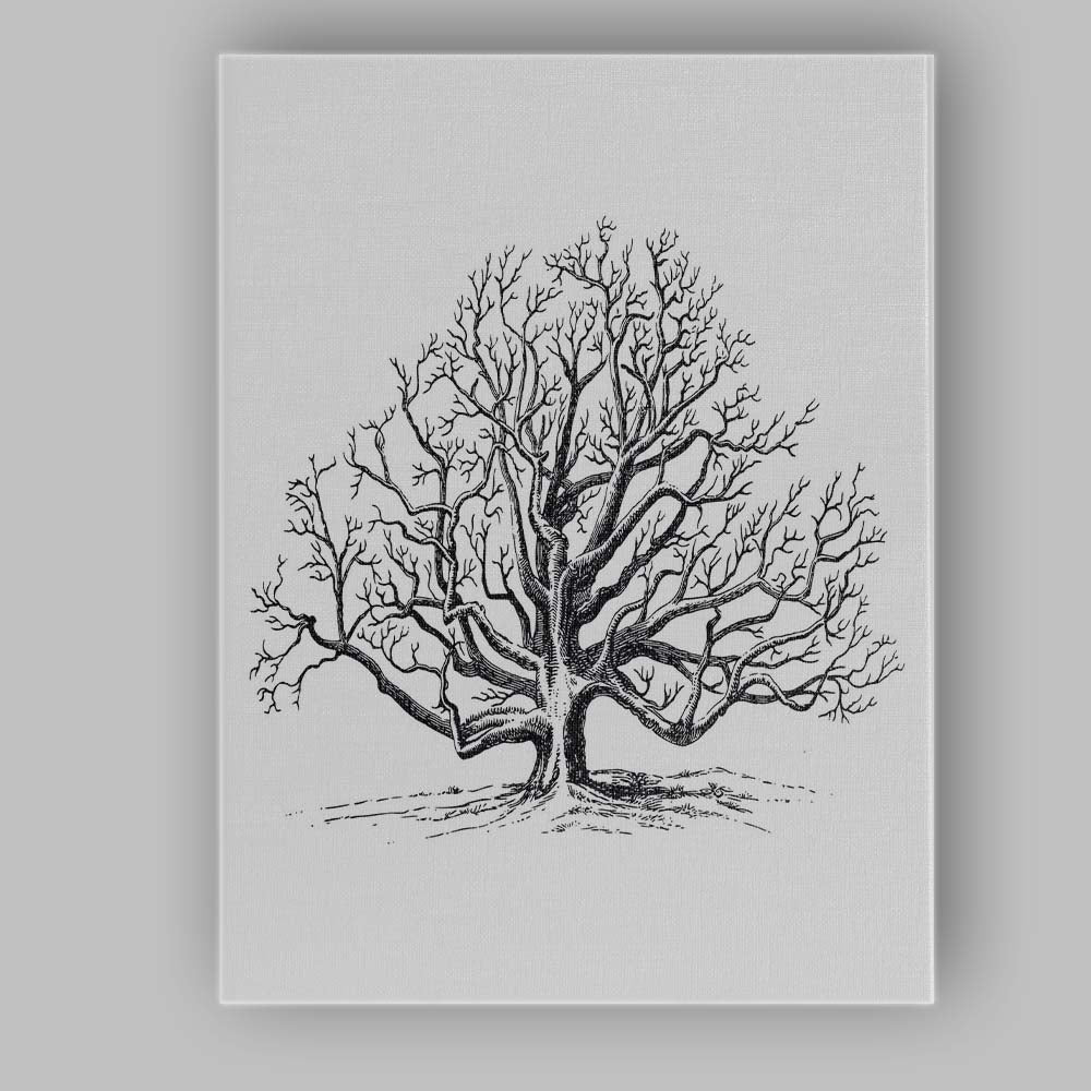 Minimalist Solid Black Background Contemporary Modern Canvas Wall Art Print Decor Picture Ready to Hang