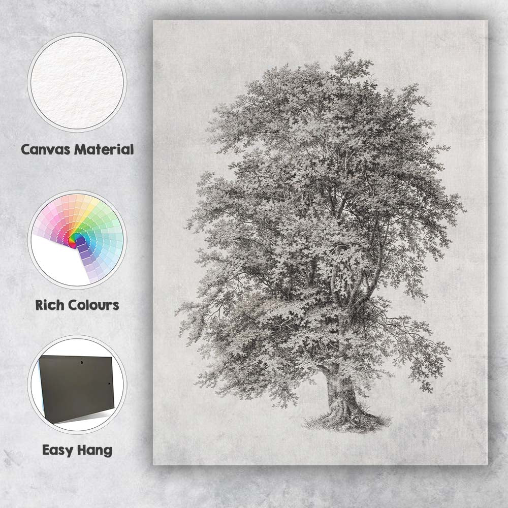 Detailed Botanical Oak Tree Illustration Monochrome Engraving Canvas Wall Art Print Decor Picture Ready to Hang