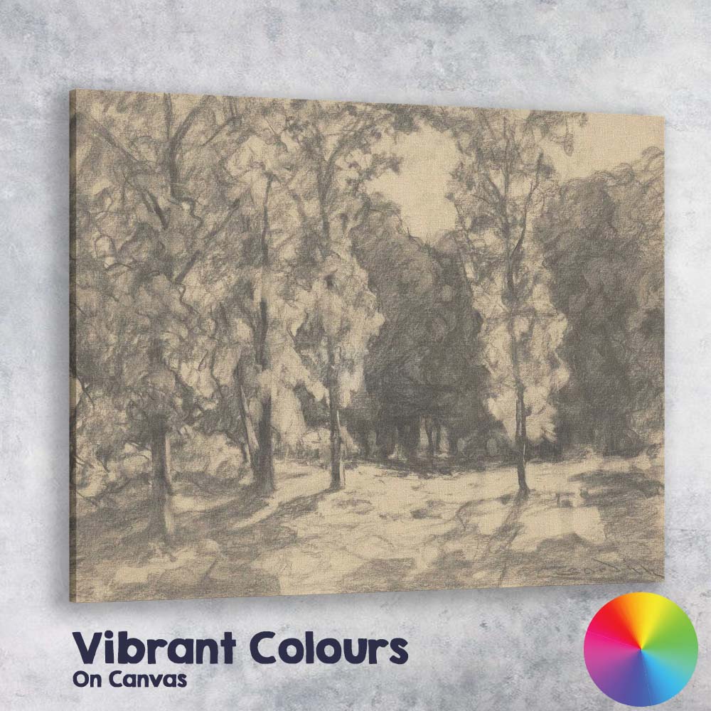 Sunlit Woodland Grove Impressionist Charcoal Landscape Canvas Wall Art Print Decor Picture Ready to Hang