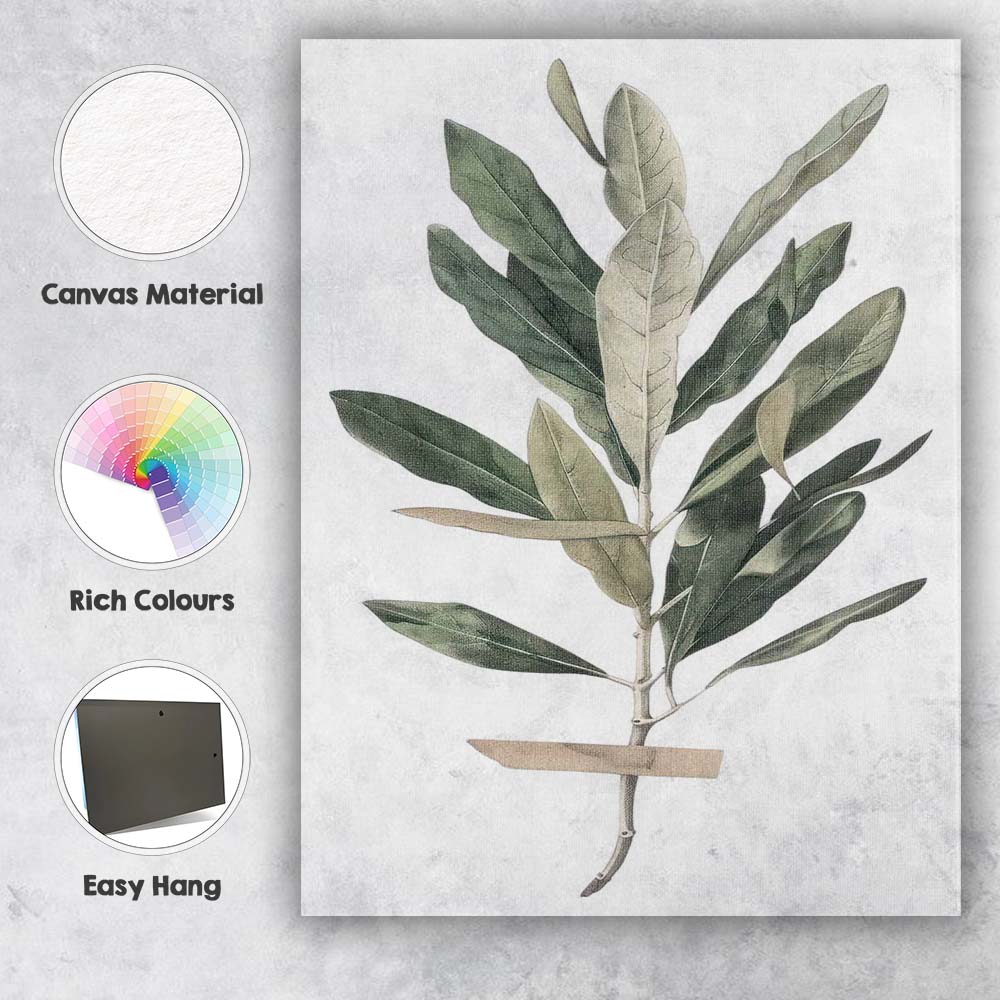 Soft Sage Olive Branch Botanical Watercolour Canvas Wall Art Print Decor Picture Ready to Hang