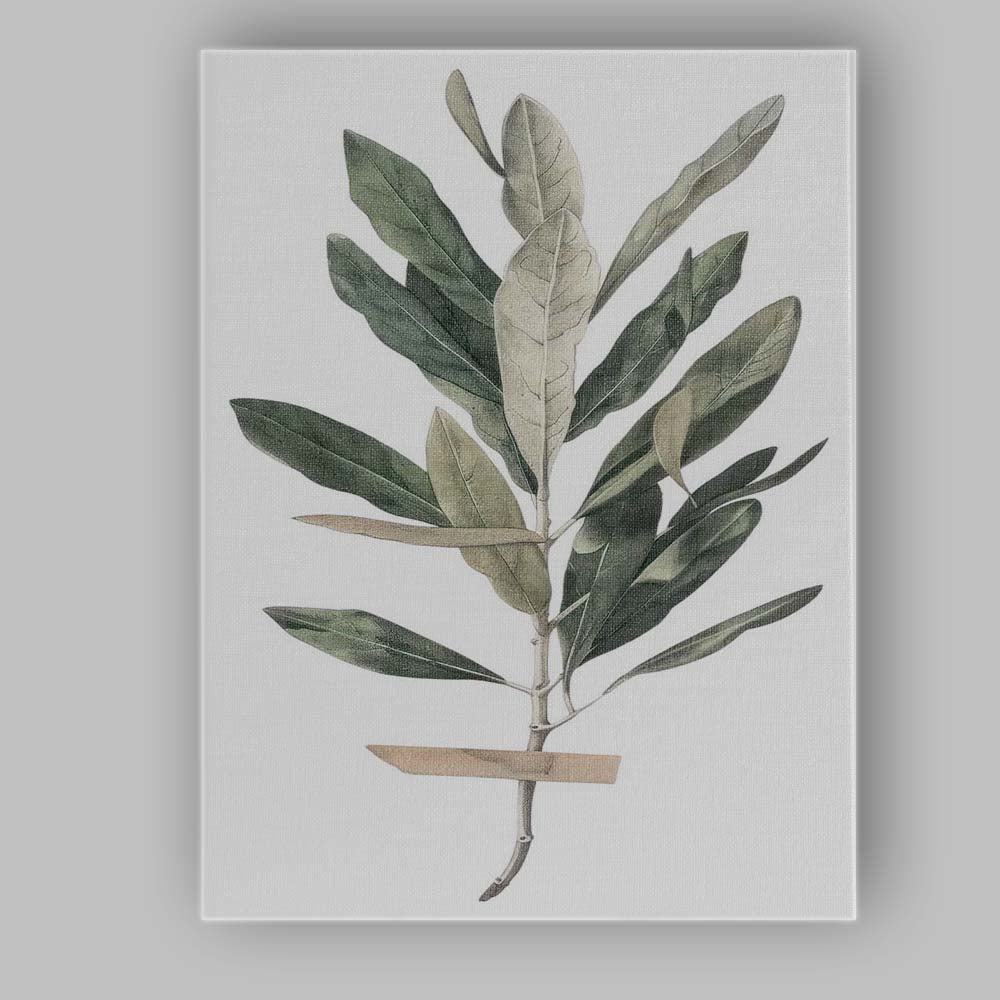 Soft Sage Olive Branch Botanical Watercolour Canvas Wall Art Print Decor Picture Ready to Hang