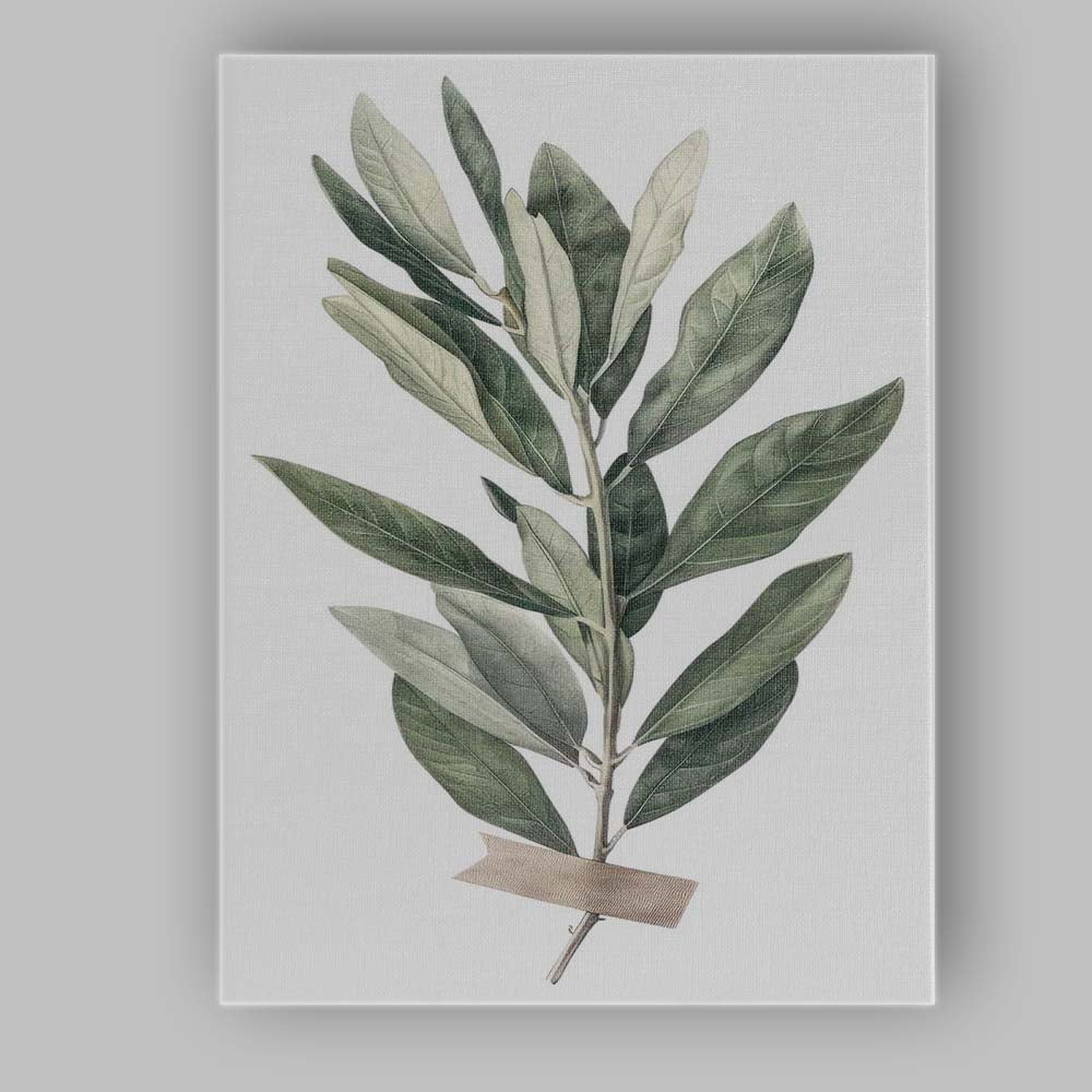 Elegant Green Olive Leaf Botanical Study Canvas Wall Art Print Decor Picture Ready to Hang