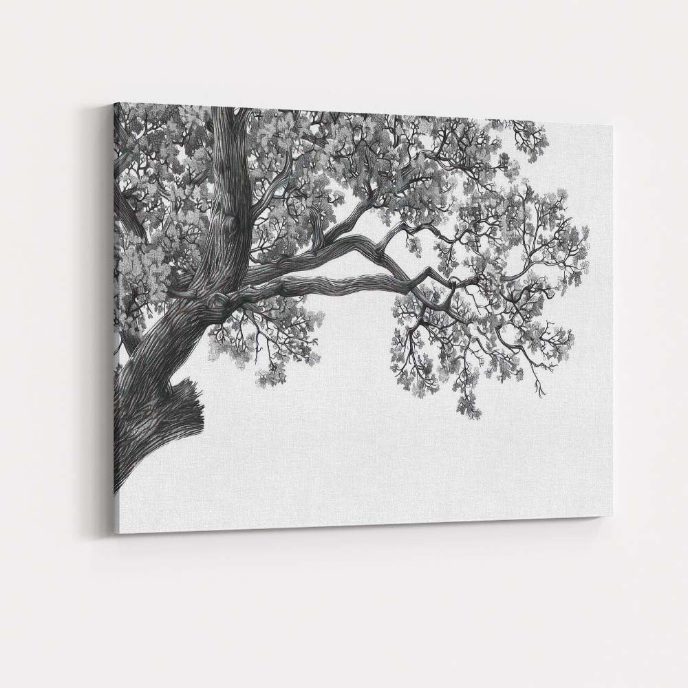 Monochrome Oak Tree Branch Canopy Detailed Nature Drawing Canvas Wall Art Print Decor Picture Ready to Hang