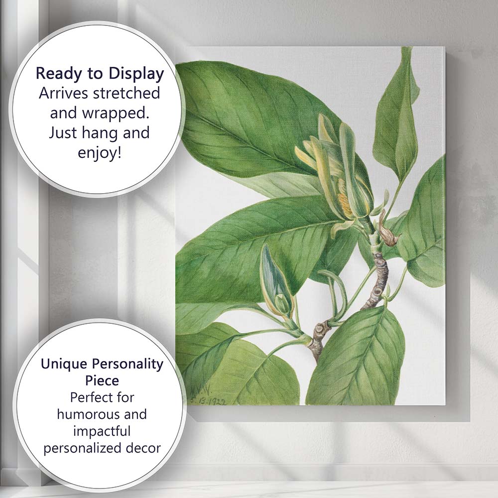 Green Magnolia Foliage Botanical Watercolour Plant Study Canvas Wall Art Print Decor Picture Ready to Hang