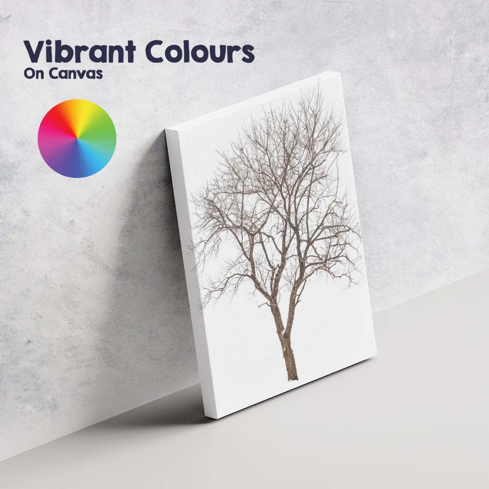 Frost Covered Bare Winter Tree Delicate Woodland Silhouette Canvas Wall Art Print Decor Picture Ready to Hang