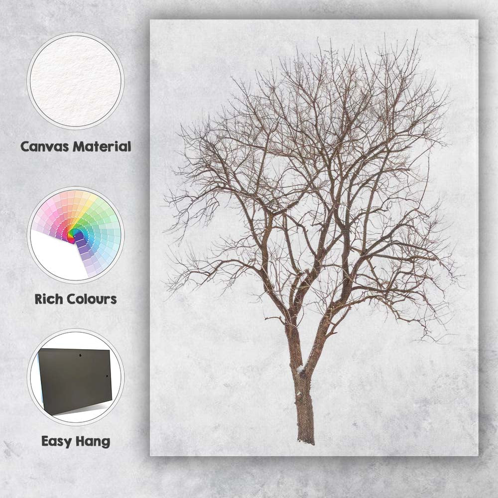 Frost Covered Bare Winter Tree Delicate Woodland Silhouette Canvas Wall Art Print Decor Picture Ready to Hang