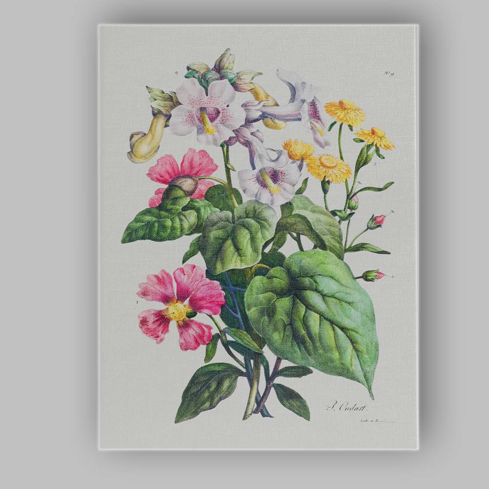 Antique Floral Botanical Bouquet With Pink And Yellow Flowers Illustration Canvas Wall Art Print Decor Picture Ready to Hang