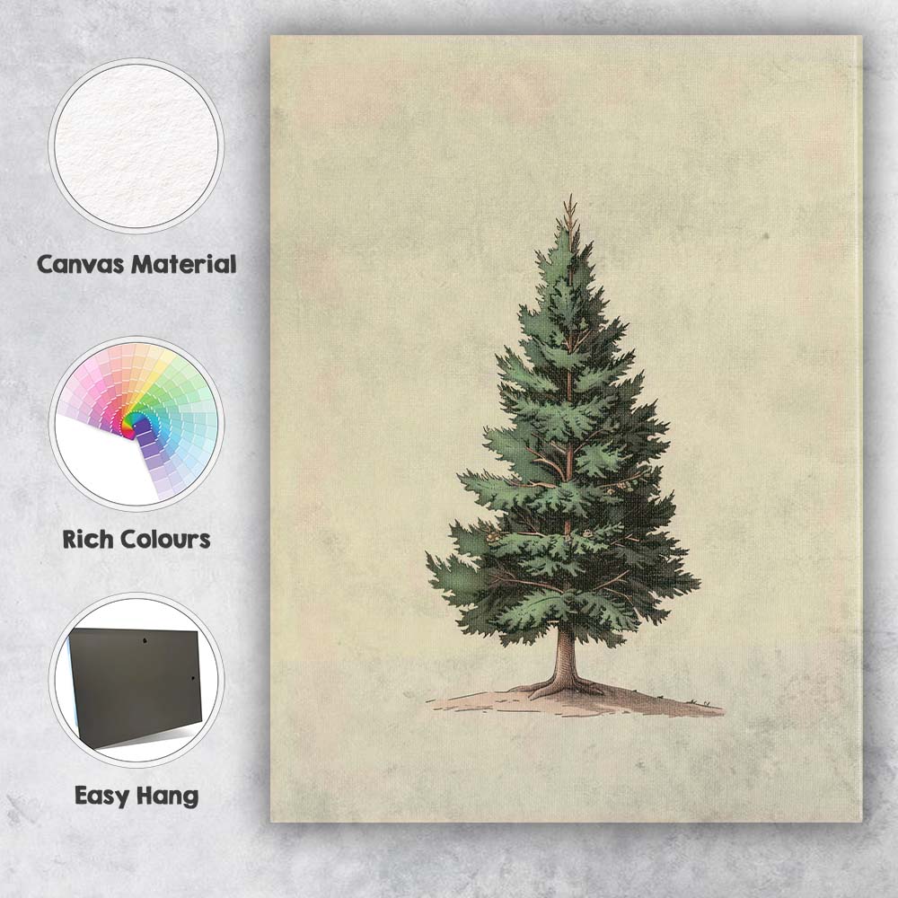 Antique Evergreen Fir Tree Botanical Illustration Canvas Wall Art Print Decor Picture Ready to Hang