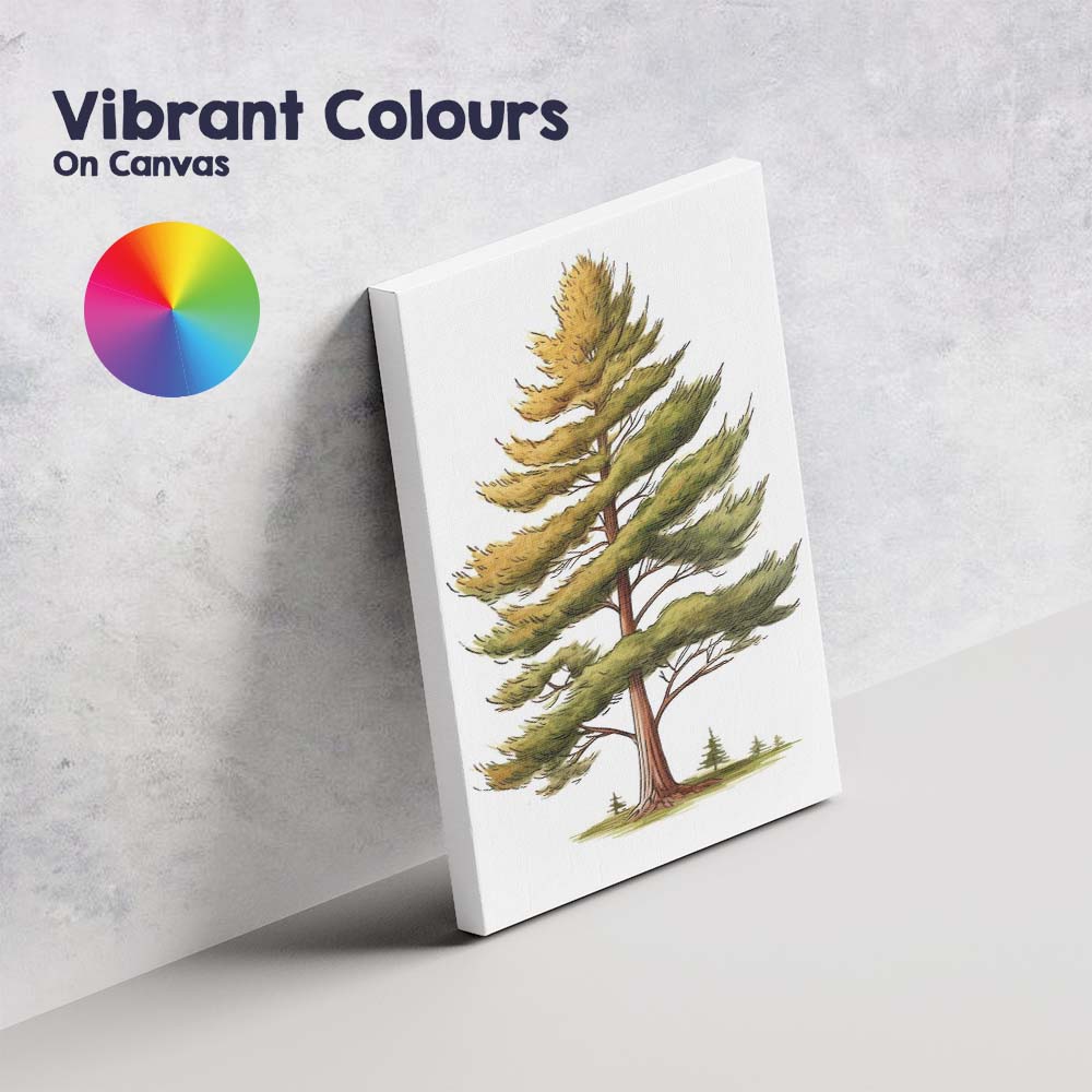 Tall Windswept Conifer Tree Nature Watercolour Illustration Canvas Wall Art Print Decor Picture Ready to Hang