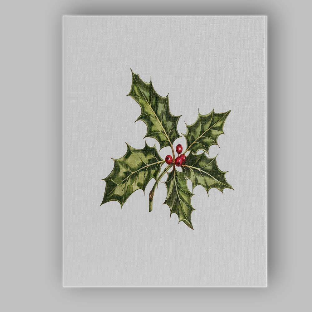Green Holly Leaves Red Berry Botanical Christmas Illustration Canvas Wall Art Print Decor Picture Ready to Hang