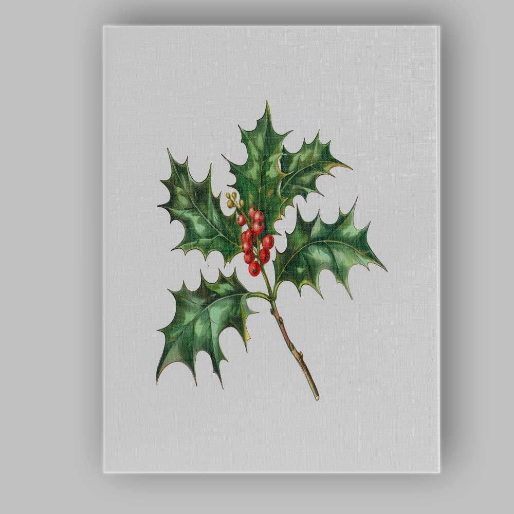 Traditional Holly Branch Red Berry Botanical Watercolour Illustration Canvas Wall Art Print Decor Picture Ready to Hang