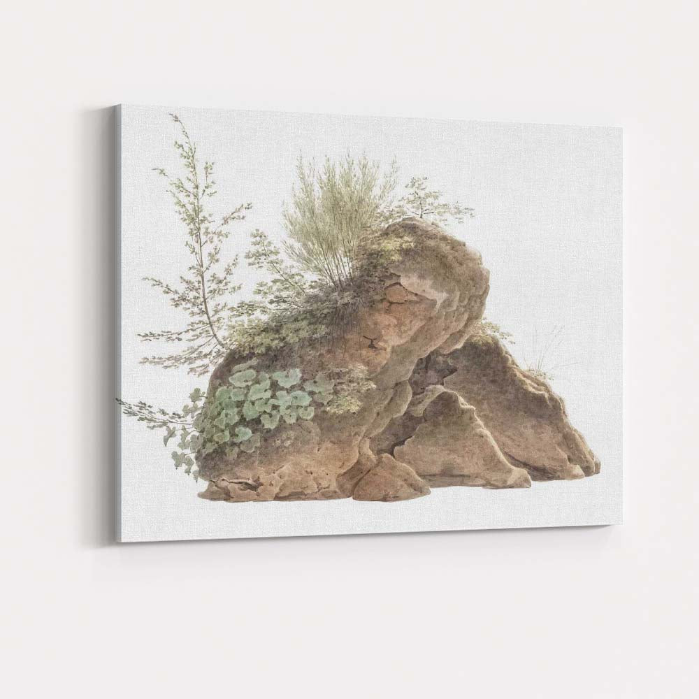 Watercolour Moss Covered Rock Wild Botanical Nature Study Canvas Wall Art Print Decor Picture Ready to Hang
