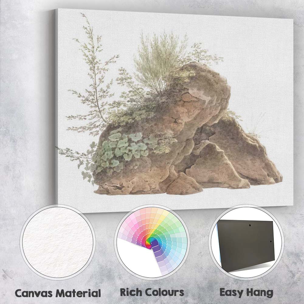 Watercolour Moss Covered Rock Wild Botanical Nature Study Canvas Wall Art Print Decor Picture Ready to Hang