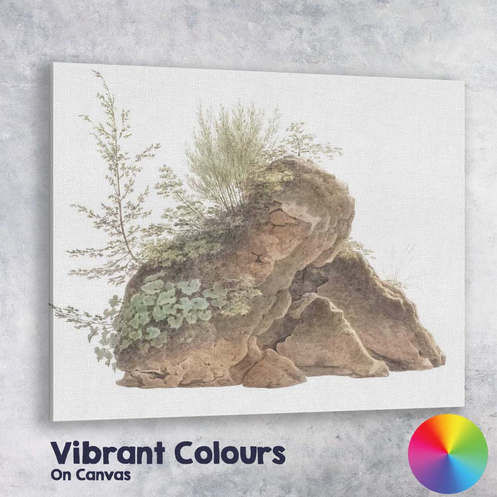 Watercolour Moss Covered Rock Wild Botanical Nature Study Canvas Wall Art Print Decor Picture Ready to Hang
