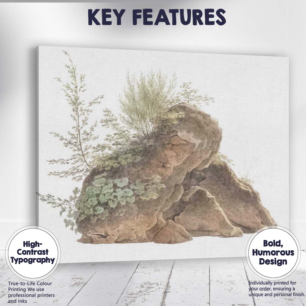 Watercolour Moss Covered Rock Wild Botanical Nature Study Canvas Wall Art Print Decor Picture Ready to Hang