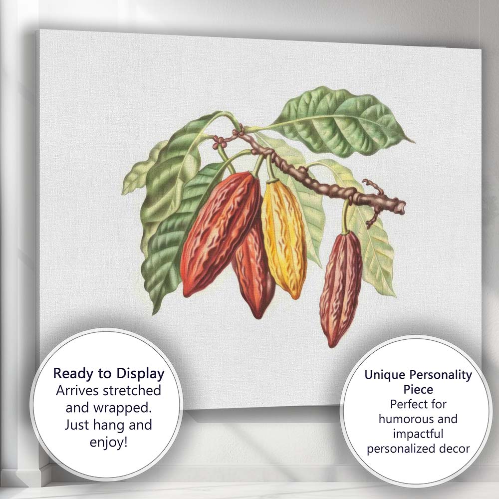 Antique Cacao Pod Branch Botanical Study Natural History Illustration Canvas Wall Art Print Decor Picture Ready to Hang