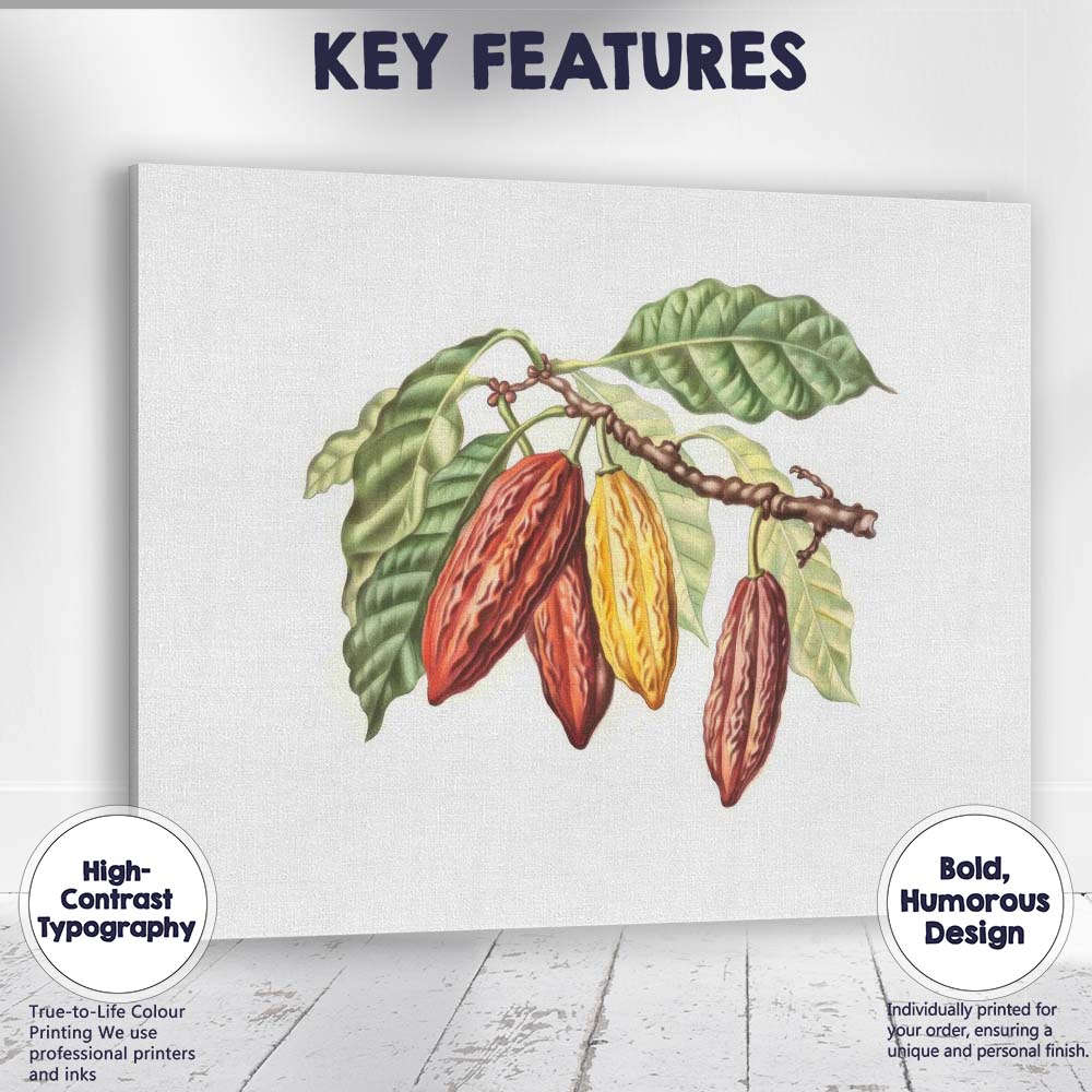 Antique Cacao Pod Branch Botanical Study Natural History Illustration Canvas Wall Art Print Decor Picture Ready to Hang
