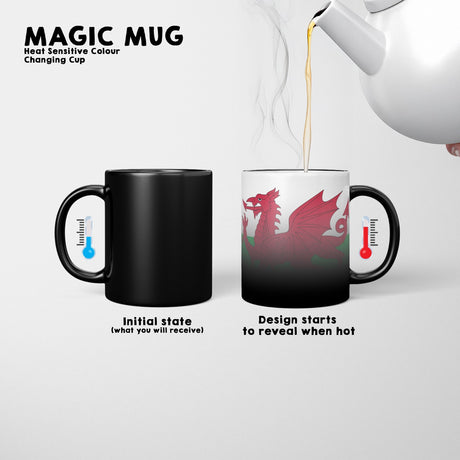 Wales Flag Welsh Dragon Heat Sensitive Magic Colour Changing Mug Novelty Cup