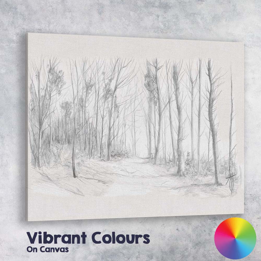 Minimalist Woodland Path Pencil Sketch Landscape Canvas Wall Art Print Decor Picture Ready to Hang