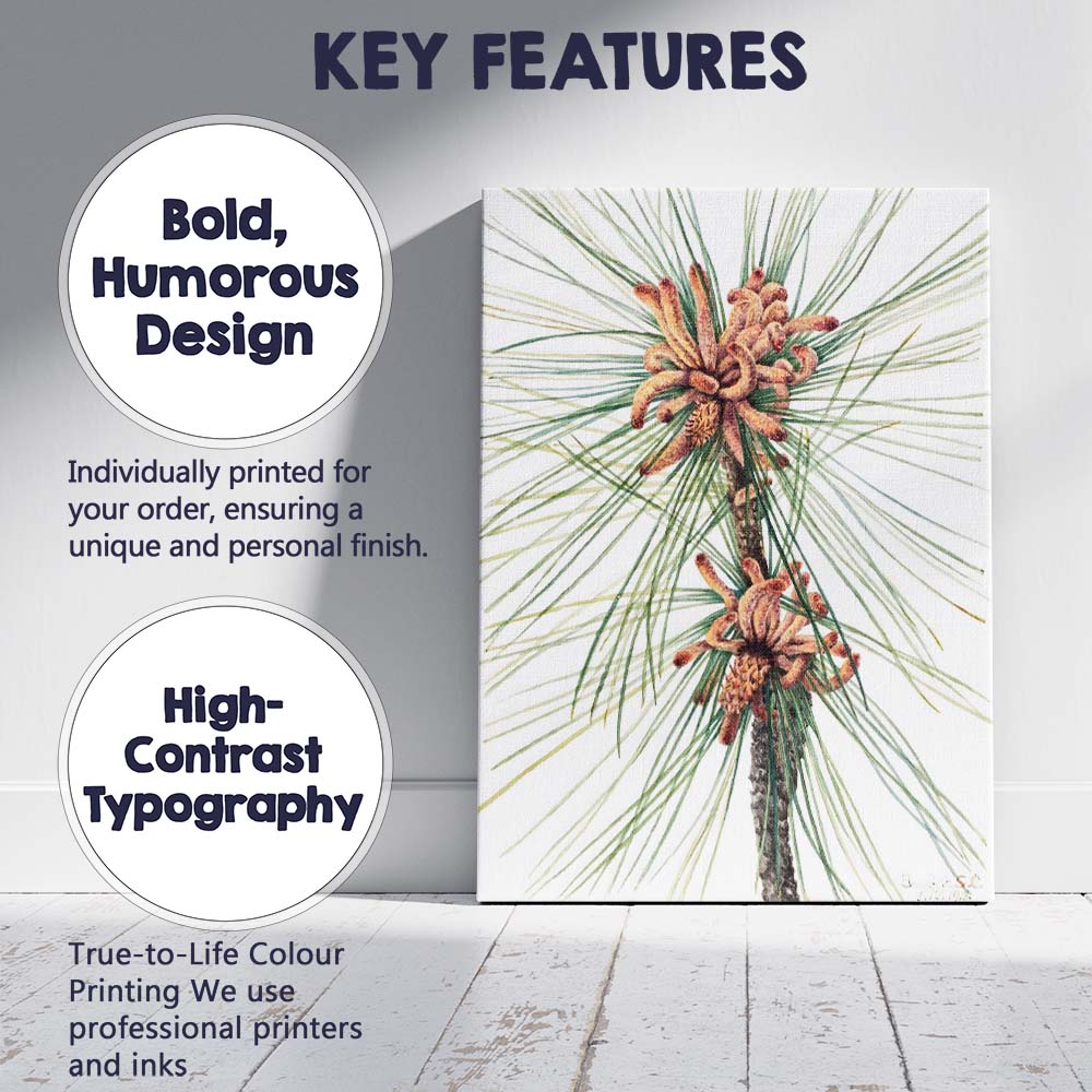 Botanical Pine Needles and Cones Watercolour Illustration Canvas Wall Art Print Decor Picture Ready to Hang
