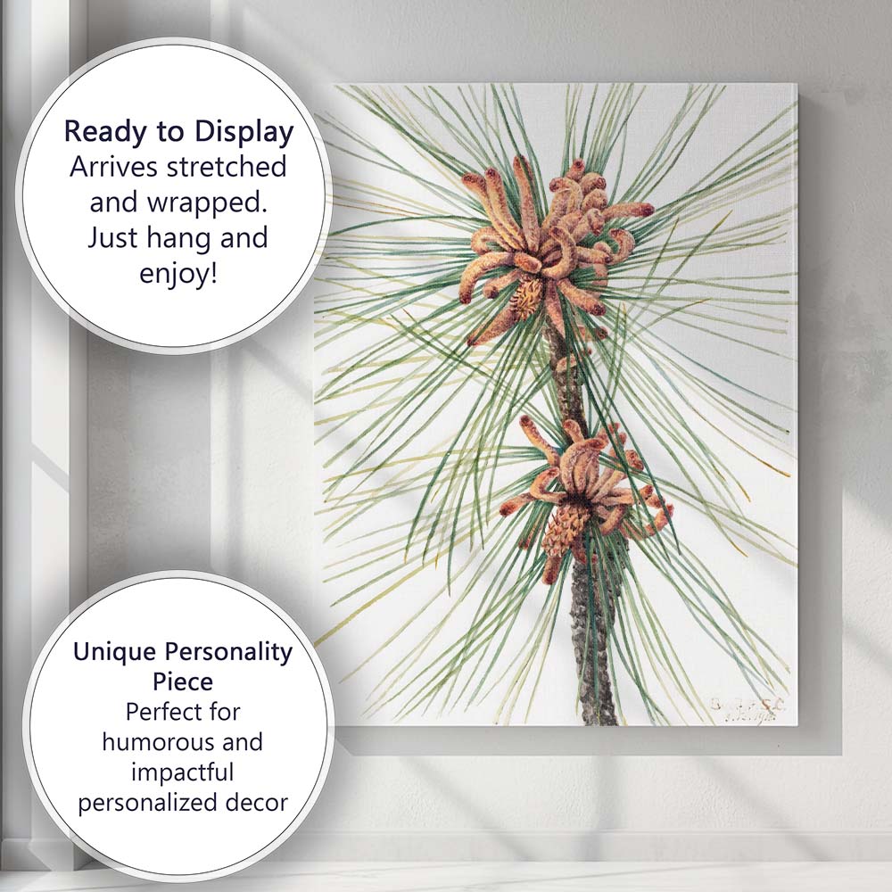 Botanical Pine Needles and Cones Watercolour Illustration Canvas Wall Art Print Decor Picture Ready to Hang