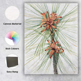 Botanical Pine Needles and Cones Watercolour Illustration Canvas Wall Art Print Decor Picture Ready to Hang