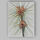 Botanical Pine Needles and Cones Watercolour Illustration Canvas Wall Art Print Decor Picture Ready to Hang