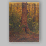 Ancient Moss Covered Forest Tree Trunk Nature Canvas Wall Art Print Decor Picture Ready to Hang